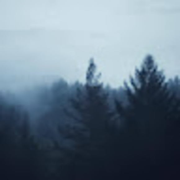 Meet your Posher, Cassie - Picture 1 of 1